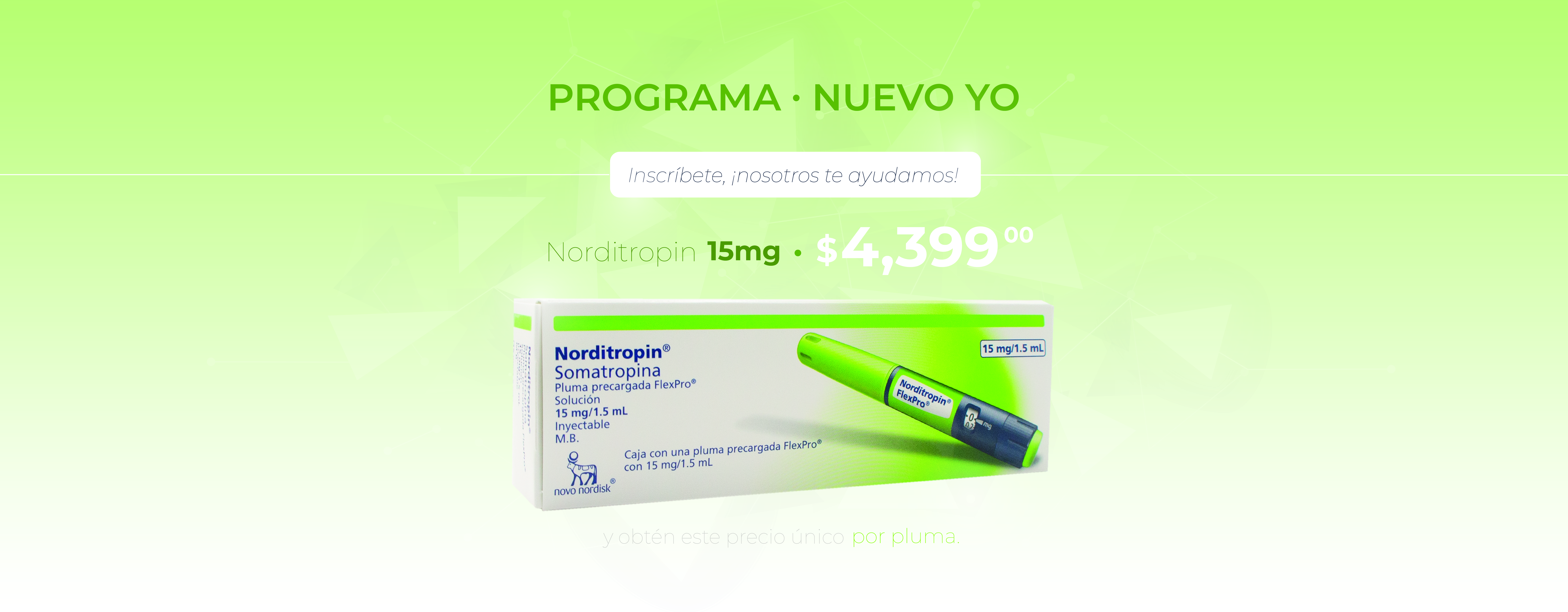 flyer promo